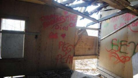 The Dare House photo 4