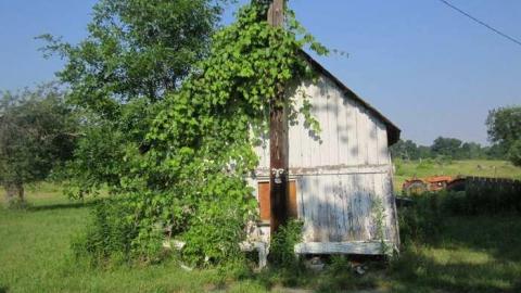 South Pelham House - 009.jpg