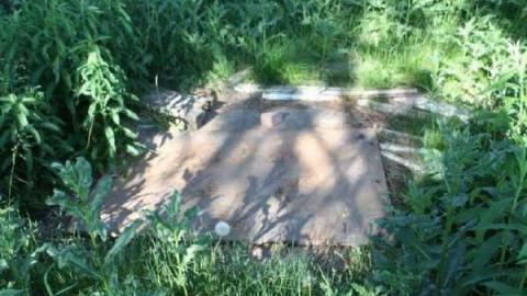 Gallery - IMG_0151.jpg