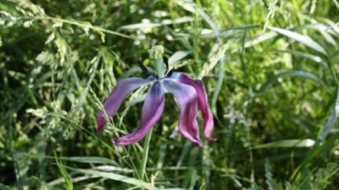 George Phipps House photo 2