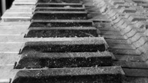 November 2012 - DSCF1031-001.jpg