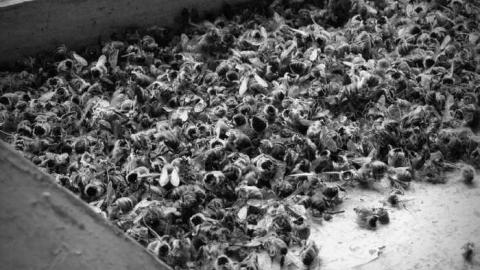 Napier General Store Nov '12 - Napier-(ghost-town)40.jpg