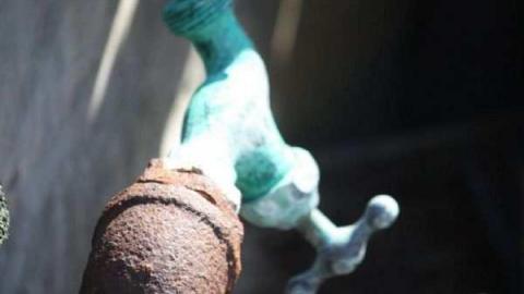 Gallery - IMG_0162.jpg