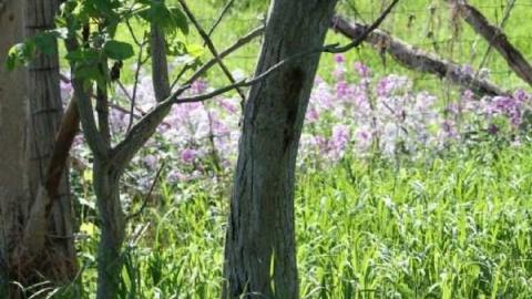 Gallery - IMG_0163.jpg