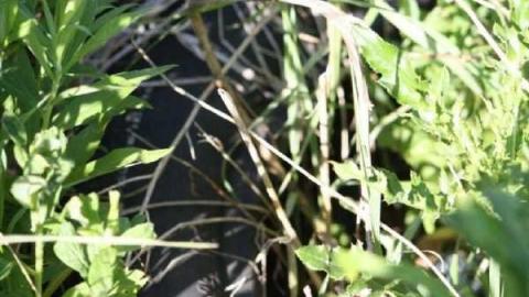 Gallery - IMG_0166.jpg