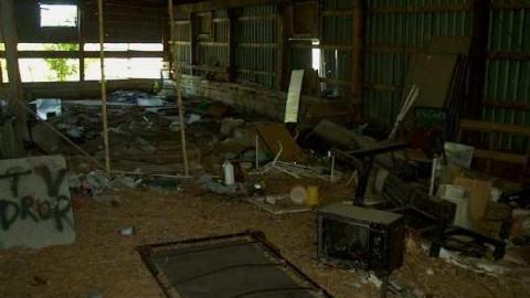 Gallery - IM003381.jpg