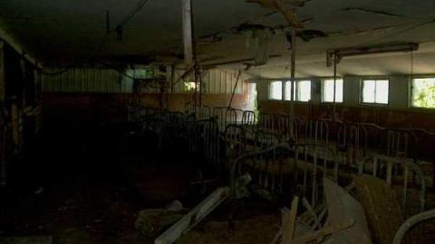 Gallery - IM003382.jpg