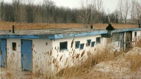 The Mustang Drive In - The-Mustang-Drive-In-Theater5.jpg