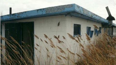 The Mustang Drive In - The-Mustang-Drive-In-Theater20.jpg