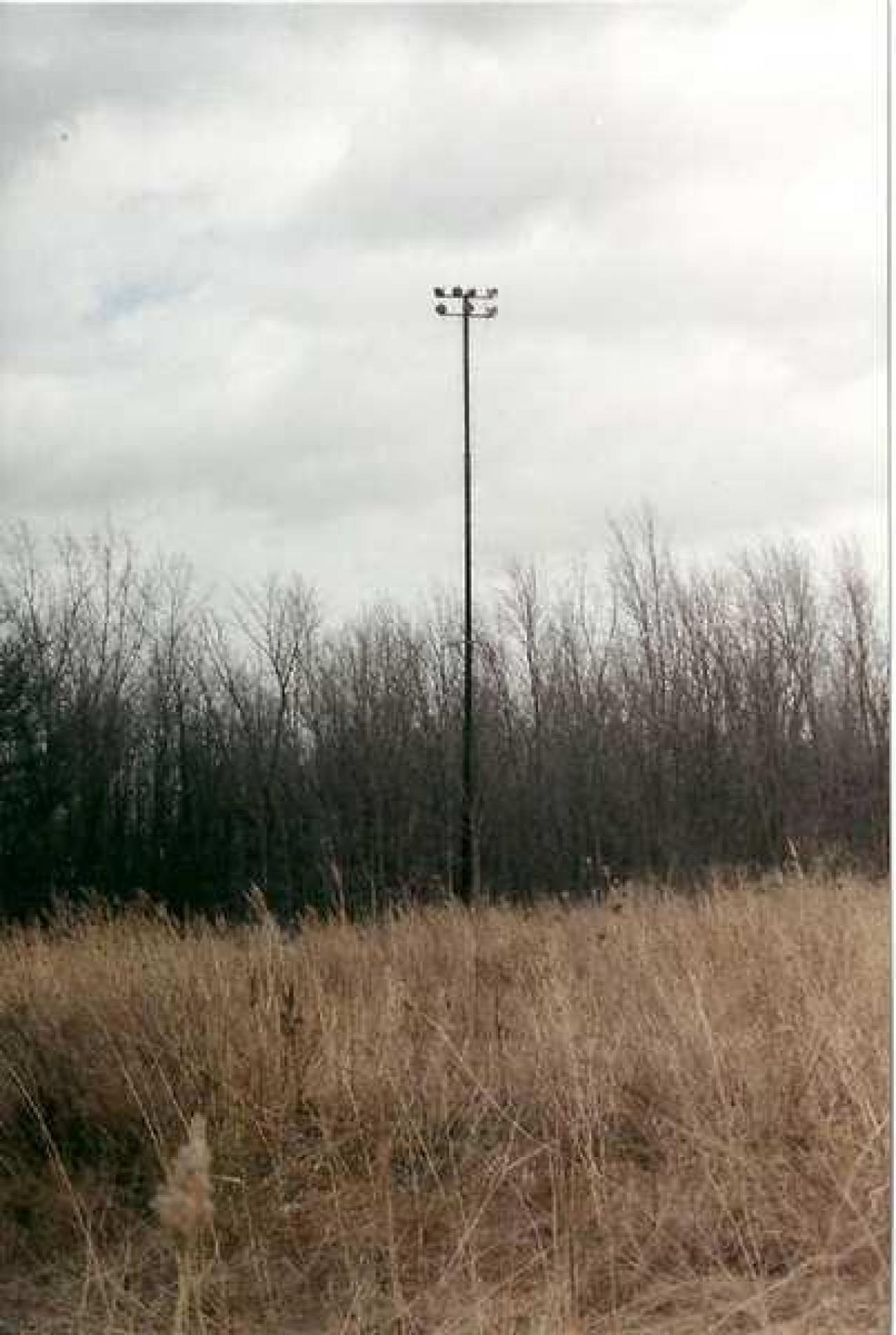 The Mustang Drive In - The-Mustang-Drive-In-Theater17.jpg