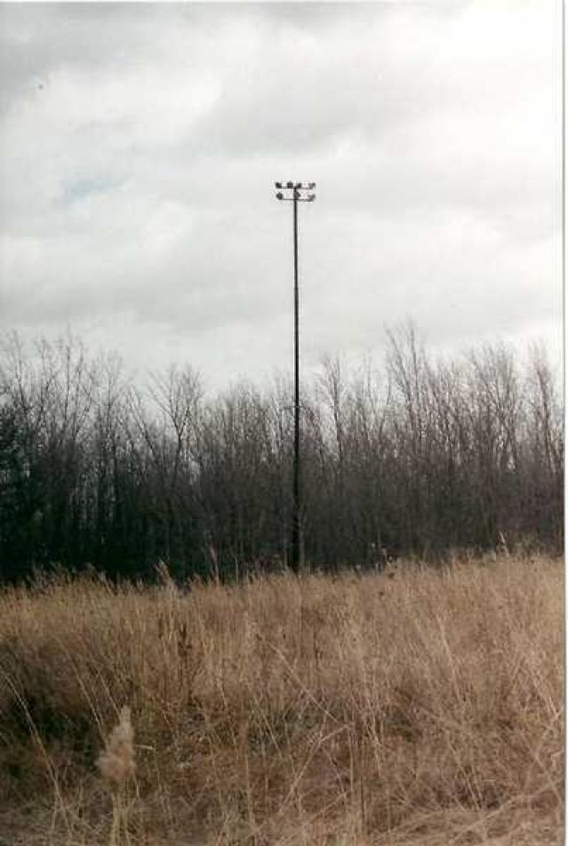 The Mustang Drive In Theater photo 5