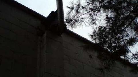 Gallery - Chemmy-Garage4.jpg