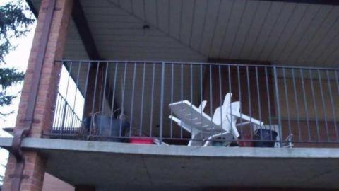 Bungalow Bill - DSCF2218.jpg