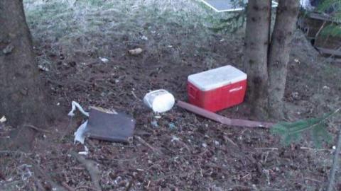 Bungalow Bill - DSCF2220.jpg