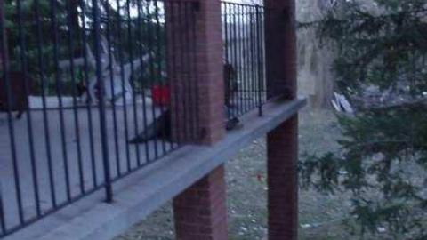 Bungalow Bill - DSCF2227.jpg