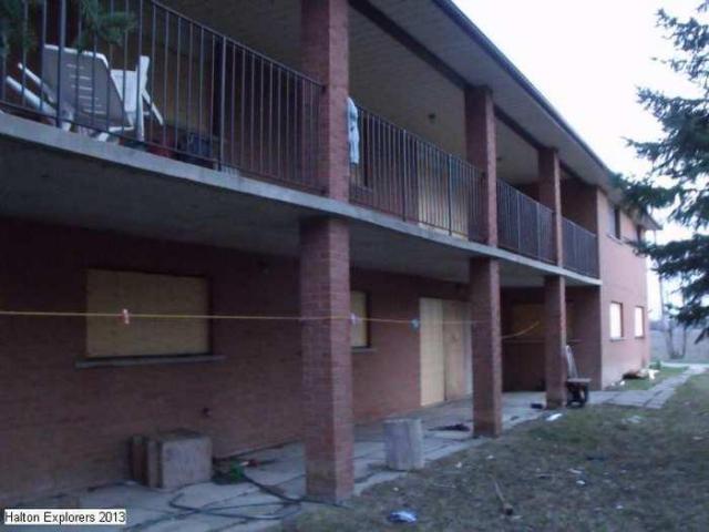 Brown Bungalow photo 3