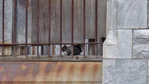 Amazing stone work - Niagara-Falls-Police-Station4.jpg