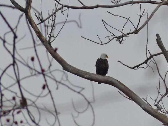 Fraser st store front photo 4