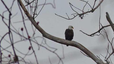 Rainy day in port colborne - Fraser-st-store-front20.jpg