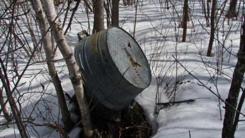 Kam River Cabin photo 2