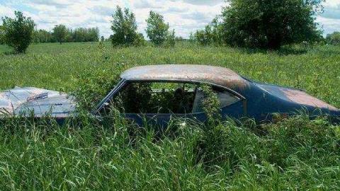 15 Line Farm House - East Garafraxa, Ontario