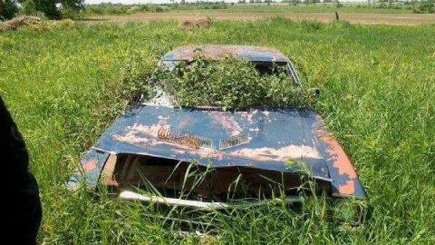 15 Line Farm House photo 4