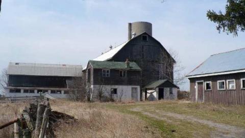 Kinghorn farm - P1110009.jpg