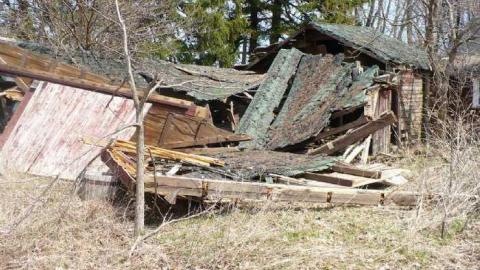 Photo from Kinghorn farm