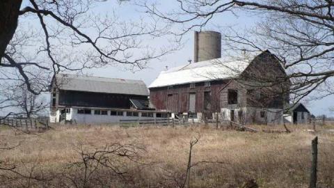 Photo from Kinghorn farm