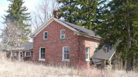 Kinghorn farm - P1110012.jpg