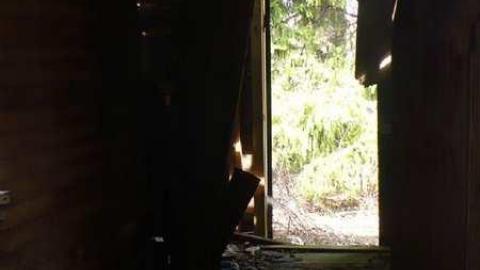 Kinghorn farm - P1110013.jpg