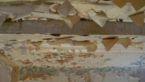 Kinghorn farm - P1110020.jpg