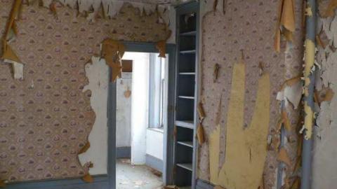 Kinghorn farm - P1110021.jpg