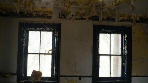 Kinghorn farm - P1110023.jpg