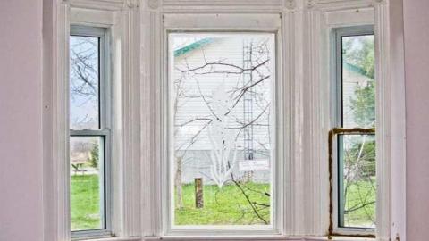 The Sandercocks - IMG_6608.jpg