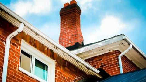 The Sandercocks - IMG_6629.jpg