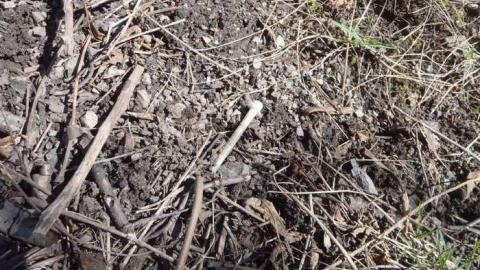 Anne Heggtveit Ski Hill photo 4