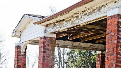 Still Standing - IMG_6433.jpg