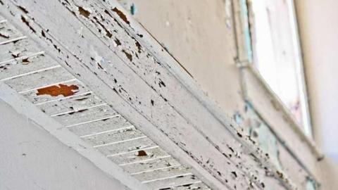 Granny Cocks - Granny-Cocks-House90.jpg