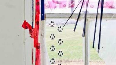 Granny Cocks - Granny-Cocks-House85.jpg