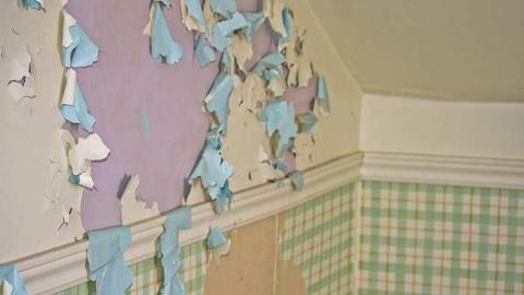 Granny Cocks - Granny-Cocks-House86.jpg