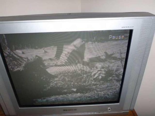 Last of the Mohicans Series photo 2