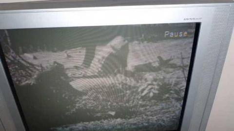 Chingachgook Ganatsekiagon - Last-of-the-Mohicans-Series9.jpg