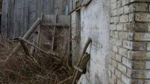 Thorndale Obsession photo 2