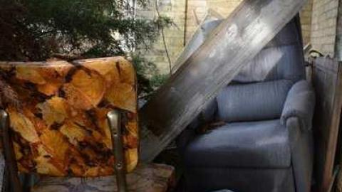 Thorndale Obsession photo 4