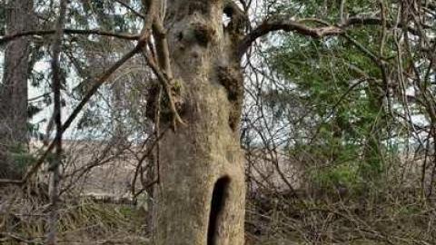 April/13 - Thorndale-Obsession9.jpg