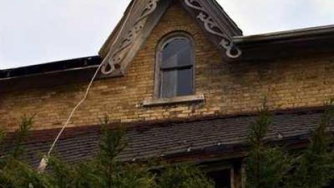 Thorndale Obsession photo 3