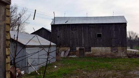 Thorndale Obsession photo 5