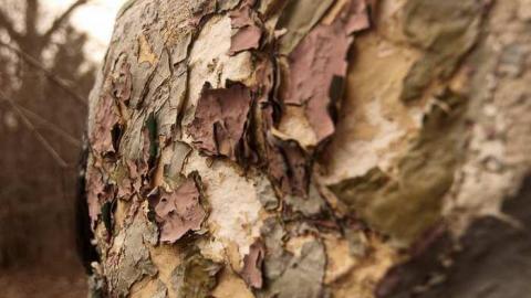 Dystopian Playground - decay.jpg