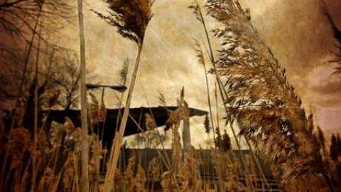 Dystopian Playground - grass.jpg